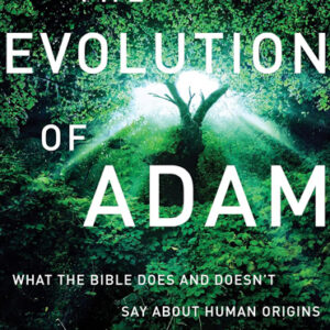 The Evolution of Adam