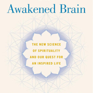 The Awakened Brain